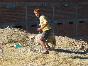 Kevin mounting a sheep near Sucre, Bolivia
